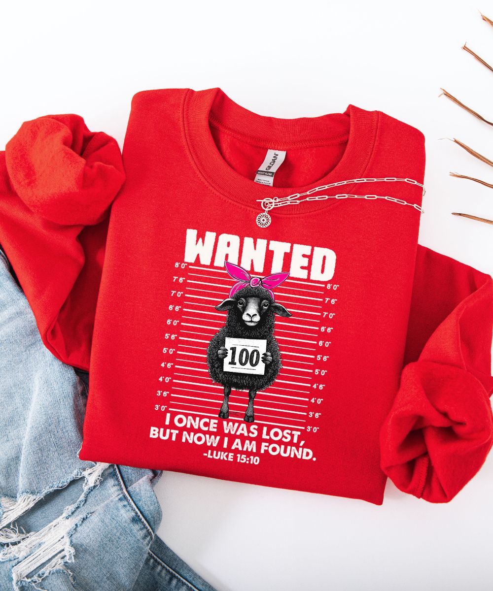 Lost Sheep Sweatshirt