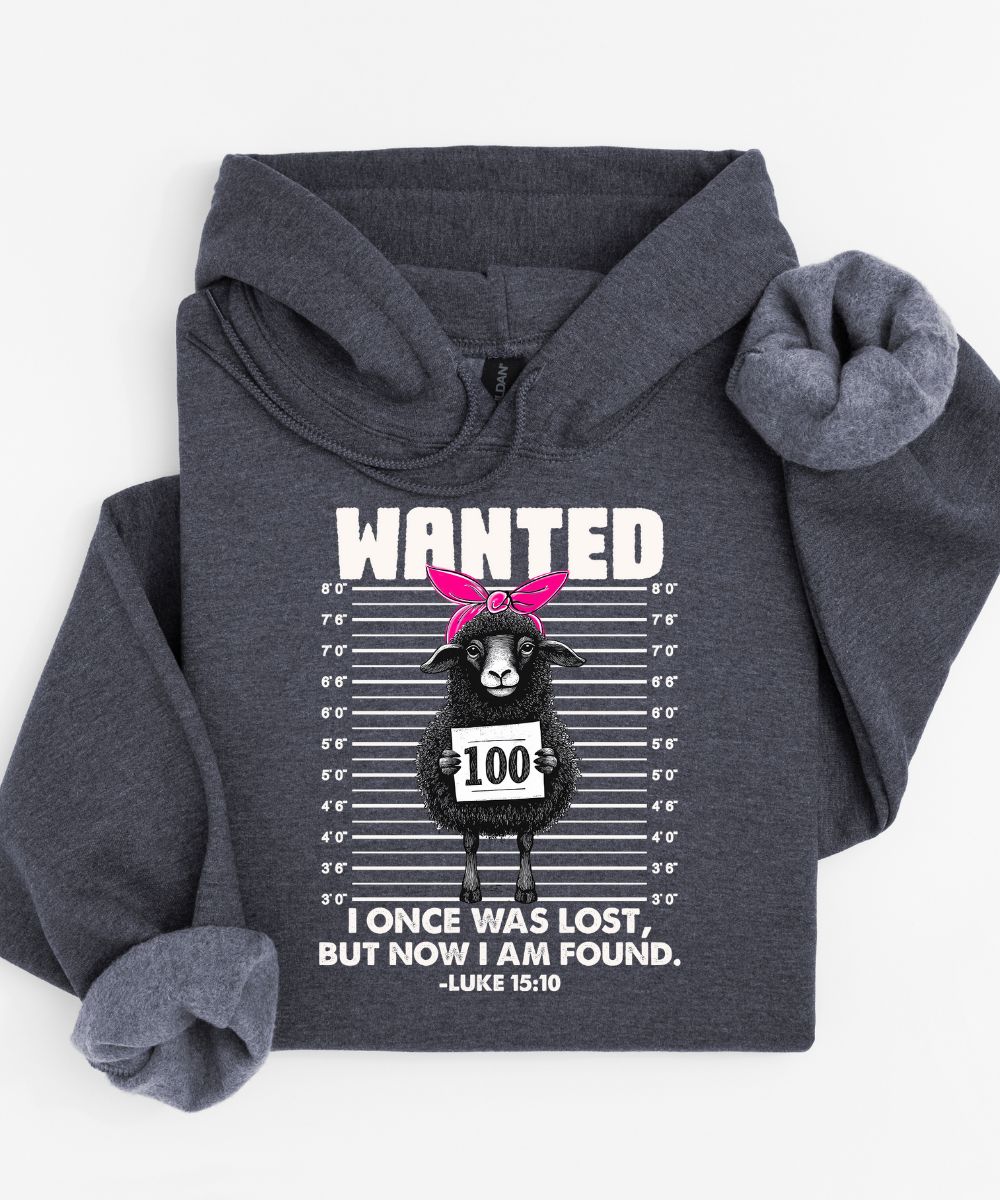 Lost Sheep Hoodie