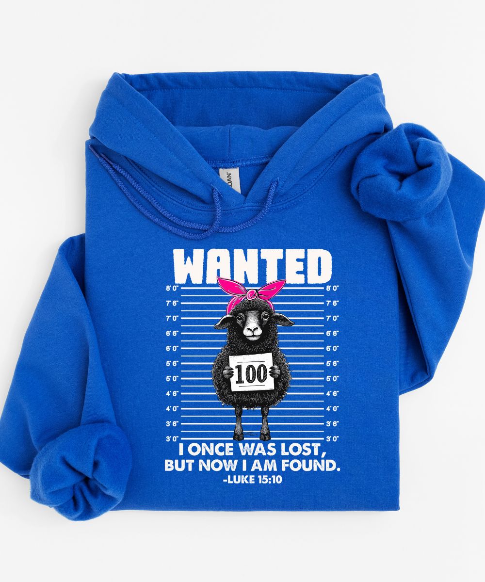Lost Sheep Hoodie