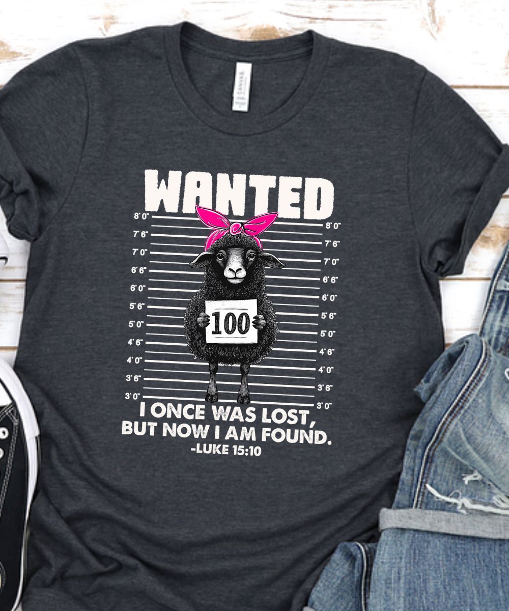 Lost Sheep