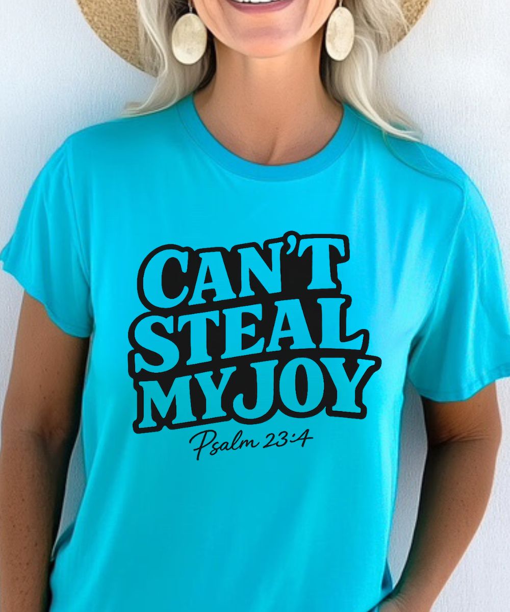 Can't Steal My Joy