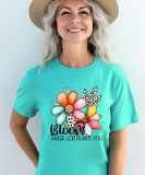 Bloom