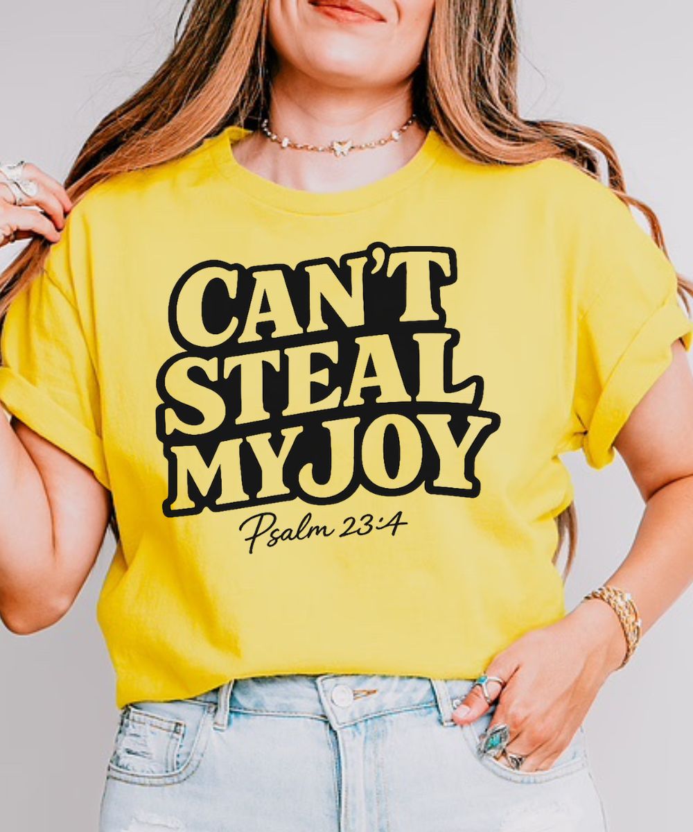 Can't Steal My Joy