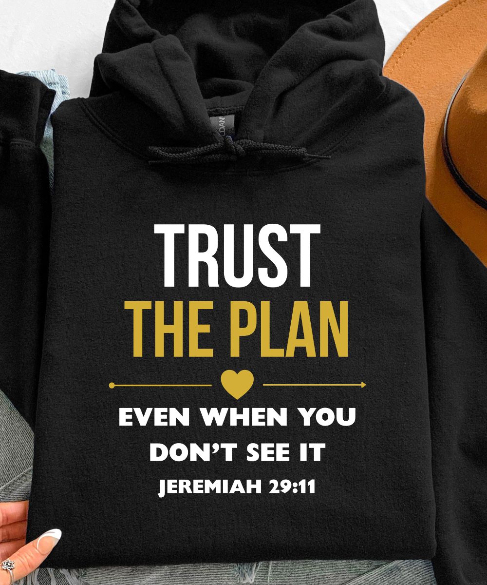 Jeremiah 29:11 Hoodie