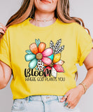 Bloom