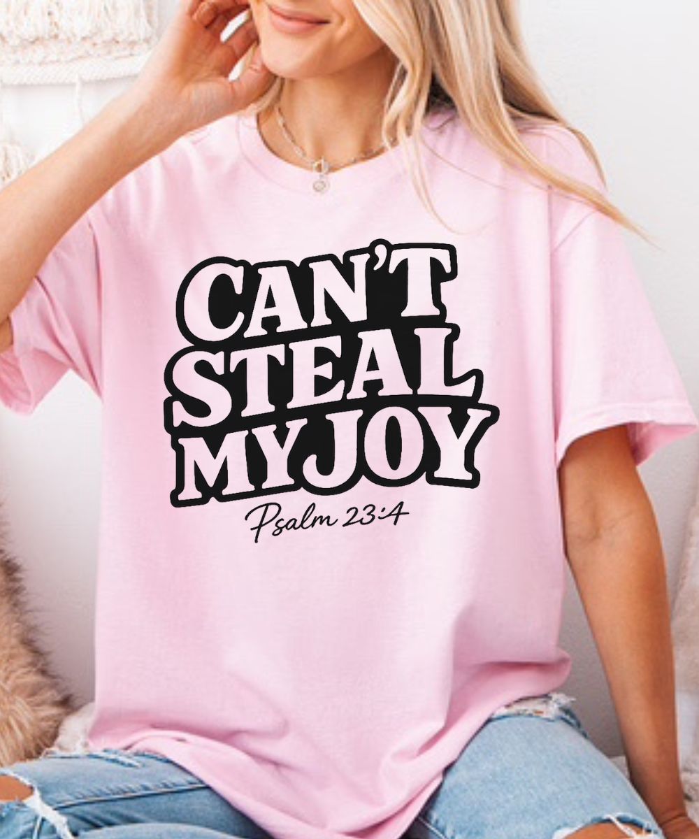 Can't Steal My Joy