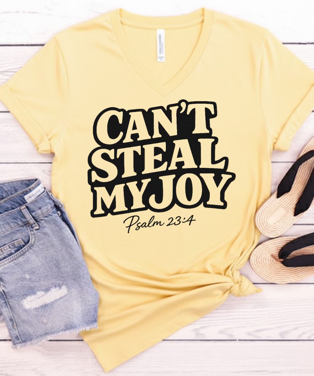 Can't Steal My Joy