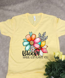 Bloom